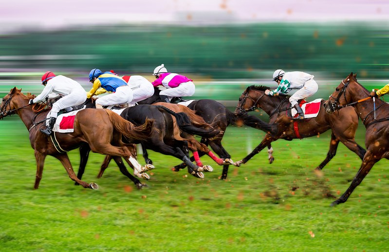 Horse Racing Winning Distances