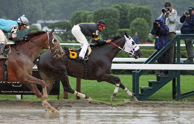Horse Race Rain