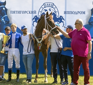 Horse Race Winner
