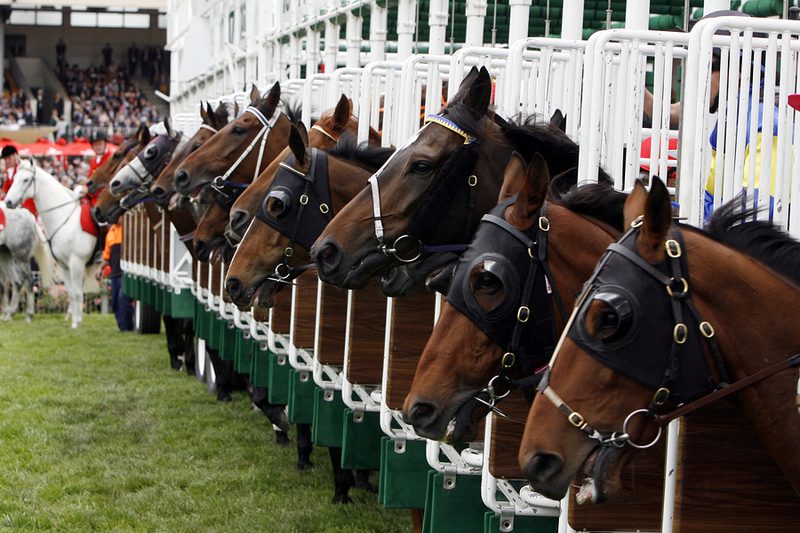 Horses in the Gate