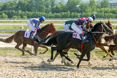 Sand Track Horse Race