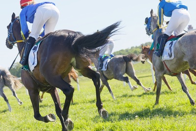 Turf Track Horse Race