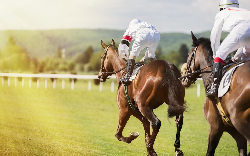 Young Jockeys