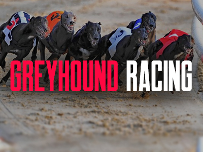 Greyhound Racing