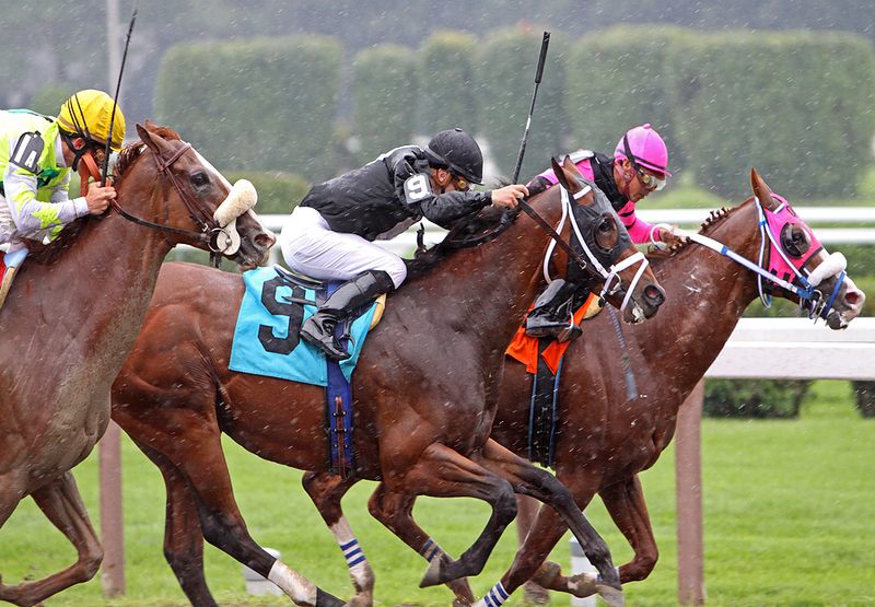 Horse Racing in the Rain