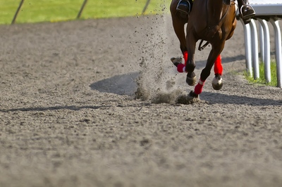 Horse Racing Dirt Track