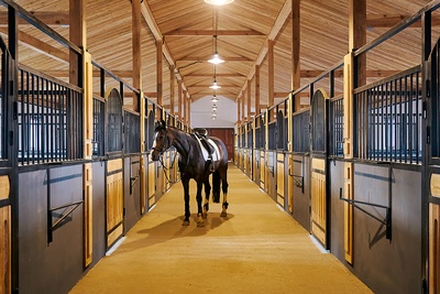 Horse Alone in Stables