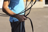 Horse Trainer Holding Reins