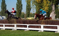 National hunt Race hurdle