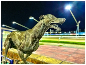 Brighton Greyhound Stadium