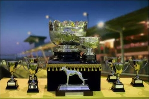 East Anglian Cup Greyhound