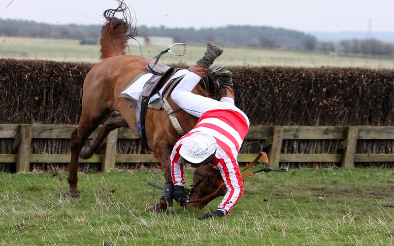 Horse Race Fall at Hedge