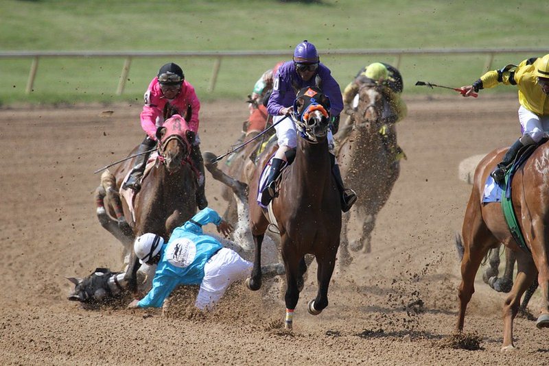 Rider and Horse Fall in Race