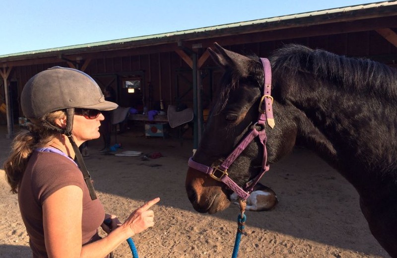 Female Horse Trainer