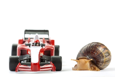 F1 Snail