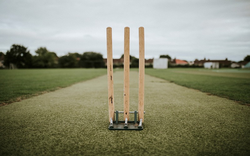 Cricket Wicket