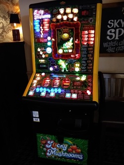 Flashing Fruit Machine