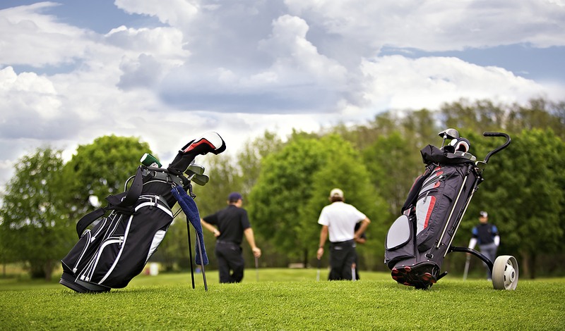 Golf Bags on Green