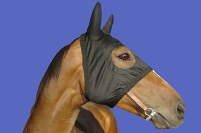 Horse Race Hood