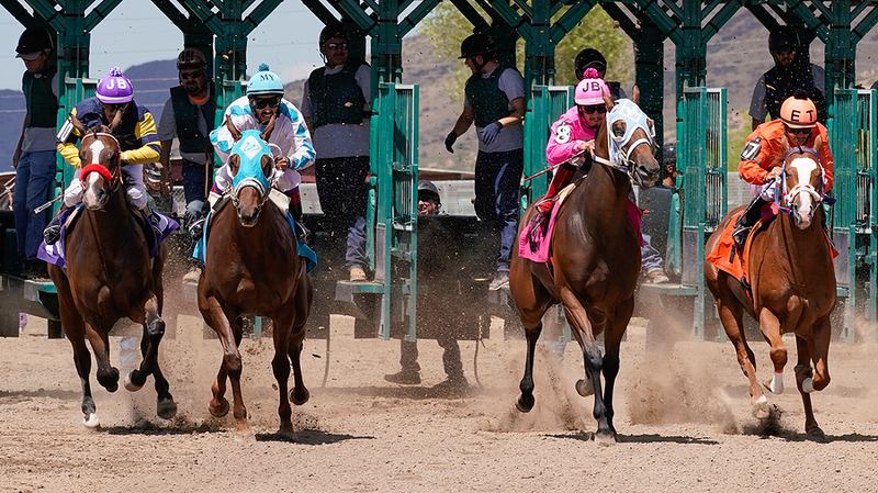 Racing Silks in Action