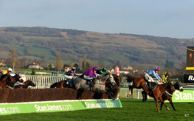 National Hunt Chase 2014