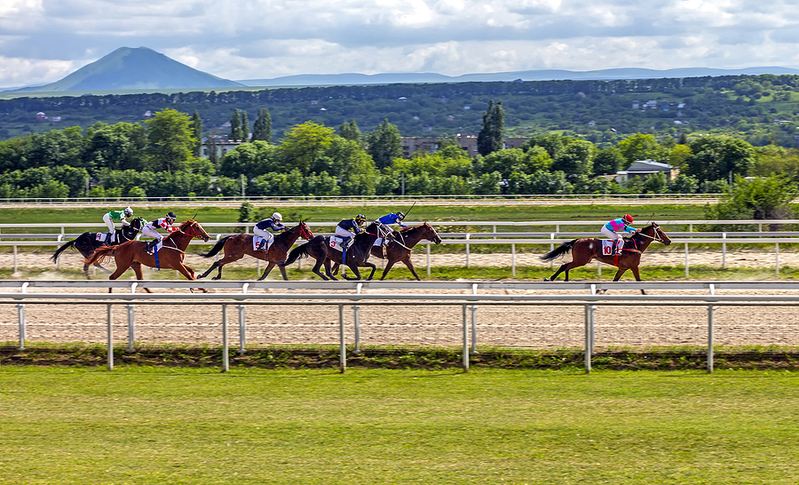 Horse Race Entry Fees