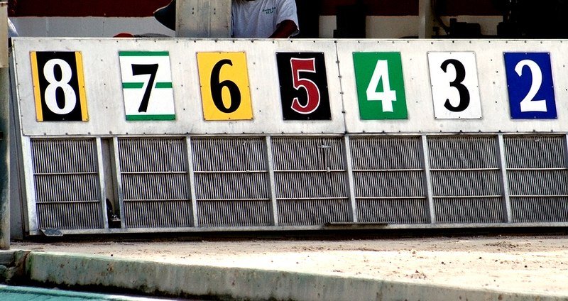 Greyhound Racing Trap Numbers