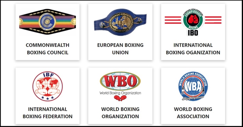 Boxing Official Bodies