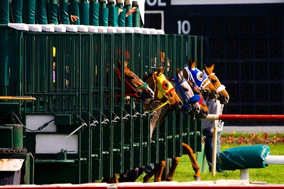 Horses in the Starting Gate