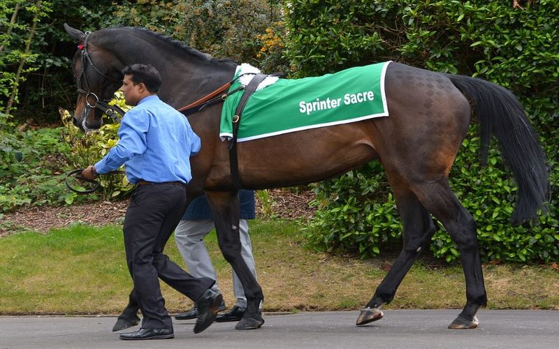 Sprinter Sacre