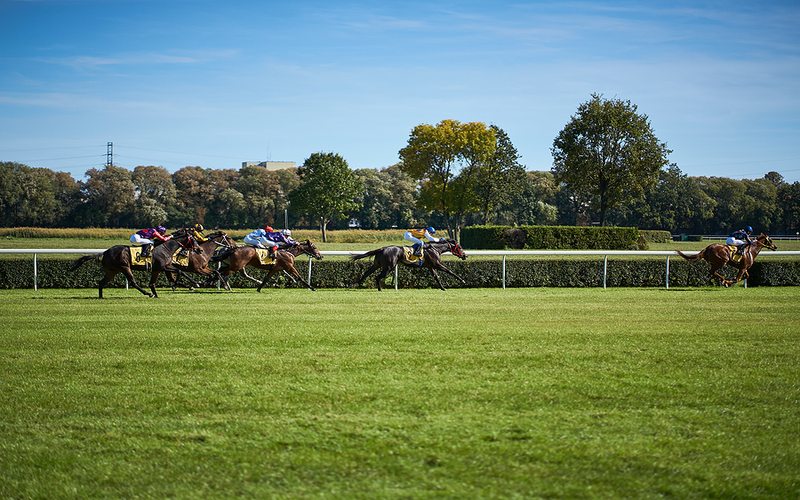 Horse Race Distance