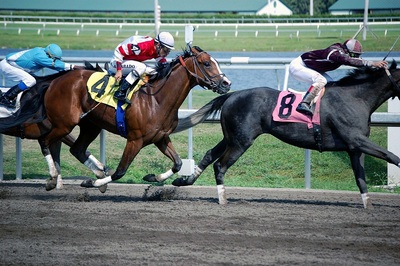Race Horse Speed