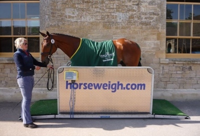 Weighing a Horse