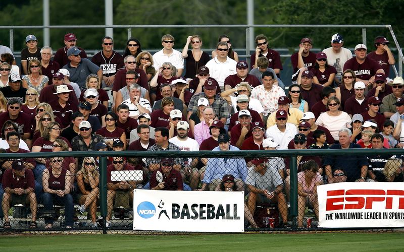 Baseball Crowd