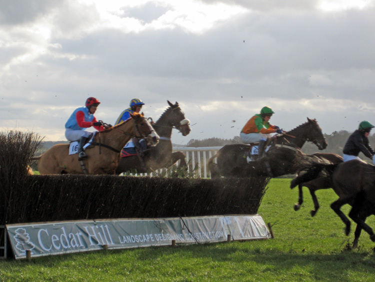 Point to Point Hurdle