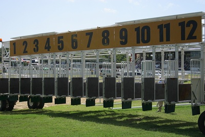 Empty Starting Gate at Racecourse