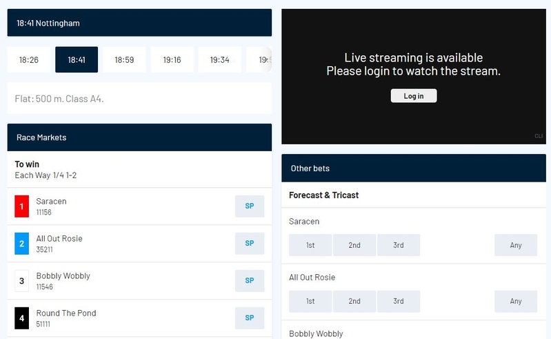 Greyhound Racing Betting Markets