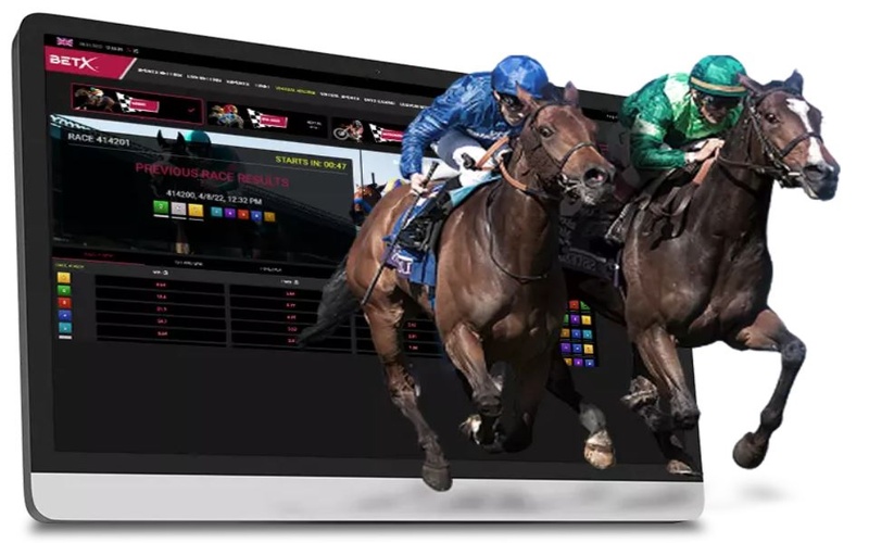 How to Bet on Horse Racing